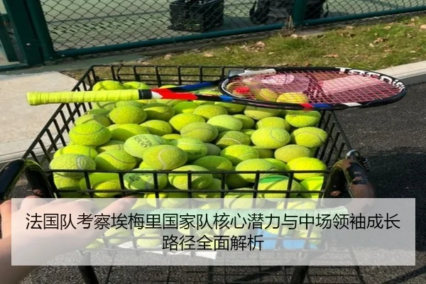 法国队考察埃梅里国家队核心潜力与中场领袖成长路径全面解析